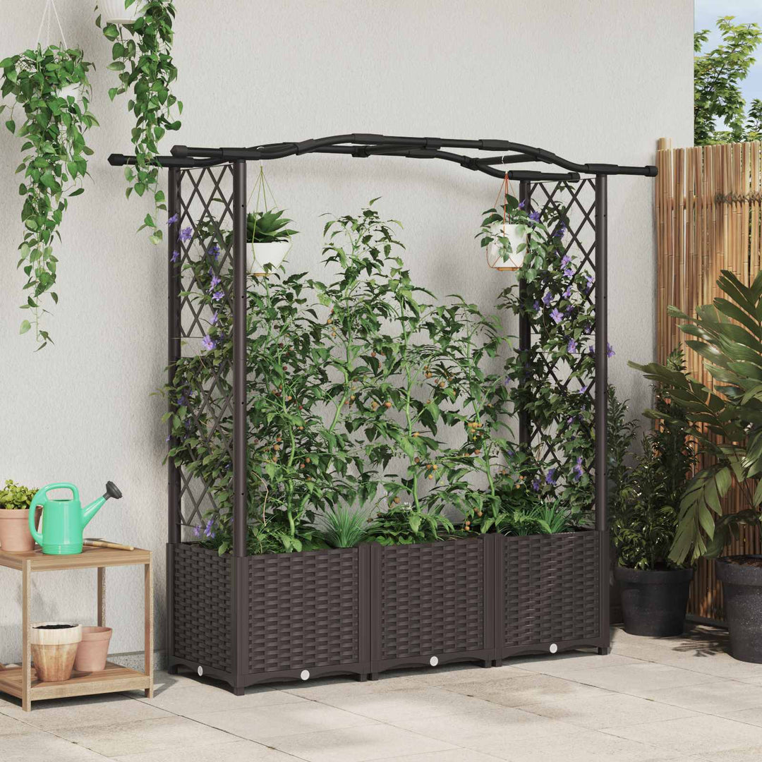 Hævet Bed med Trellis og Tag Brun 164 x 40 x 142 cm PP