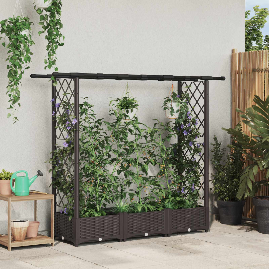 Hævet Bed med Trellis og Tag Brun 164 x 40 x 123 cm PP