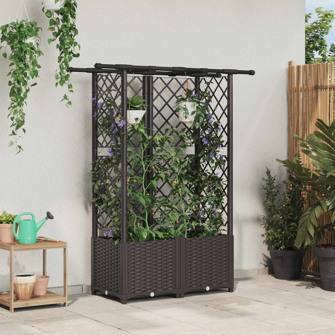 Hævet Bed med Trellis og Tag Brun 124,5 x 40 x 138 cm PP