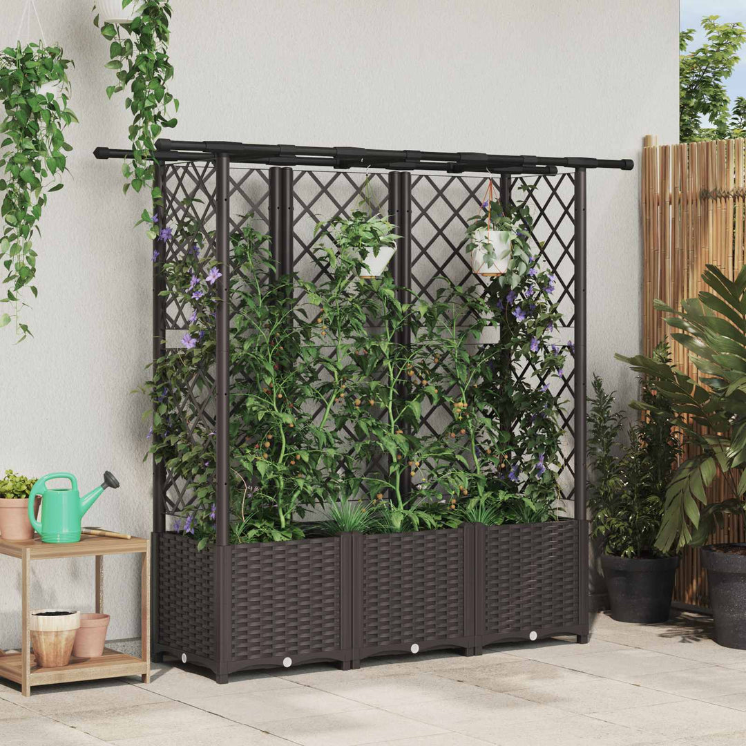 Hævet Bed med Trellis og Tag Brun 162,5 x 40 x 138 cm PP