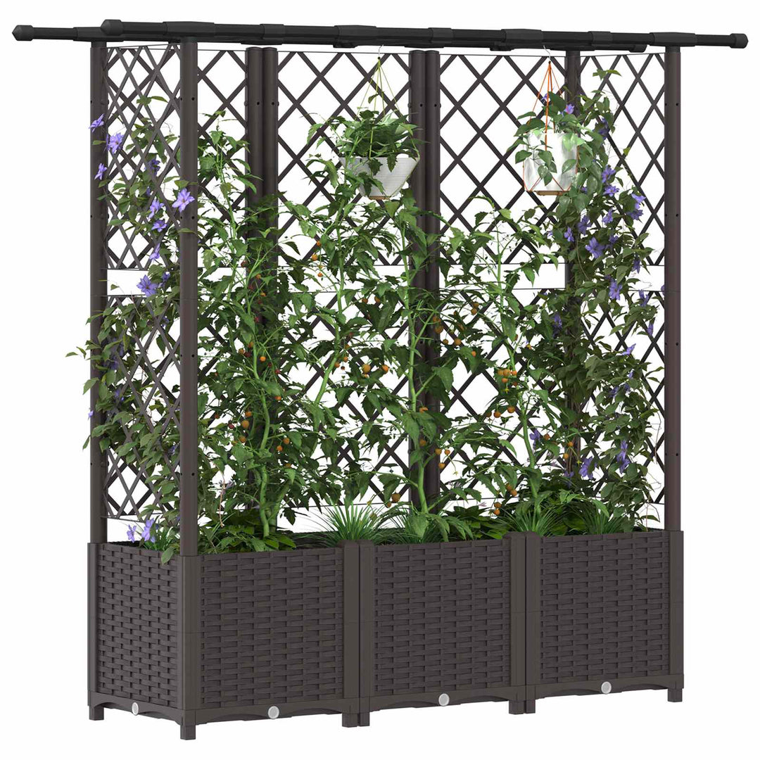 Hævet Bed med Trellis og Tag Brun 162,5 x 40 x 138 cm PP
