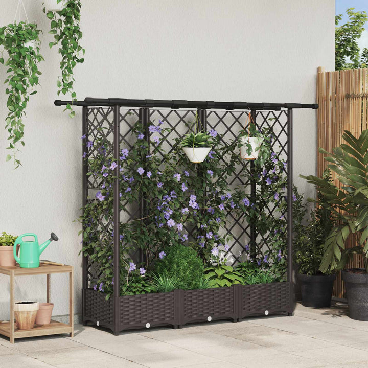 Hævet Bed med Trellis og Tag Brun 164 x 40 x 121 cm PP