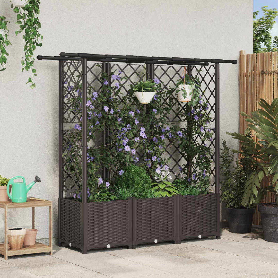 Hævet Bed med Trellis og Tag Brun 163,5 x 40 x 136 cm PP