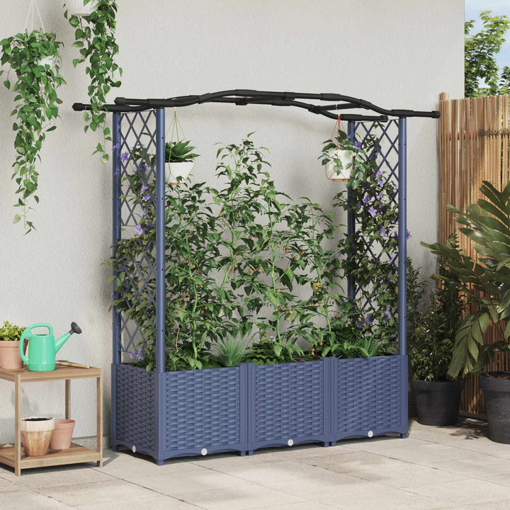 Hævet Bed med Trellis og Tag Grå 164 x 40 x 142 cm PP