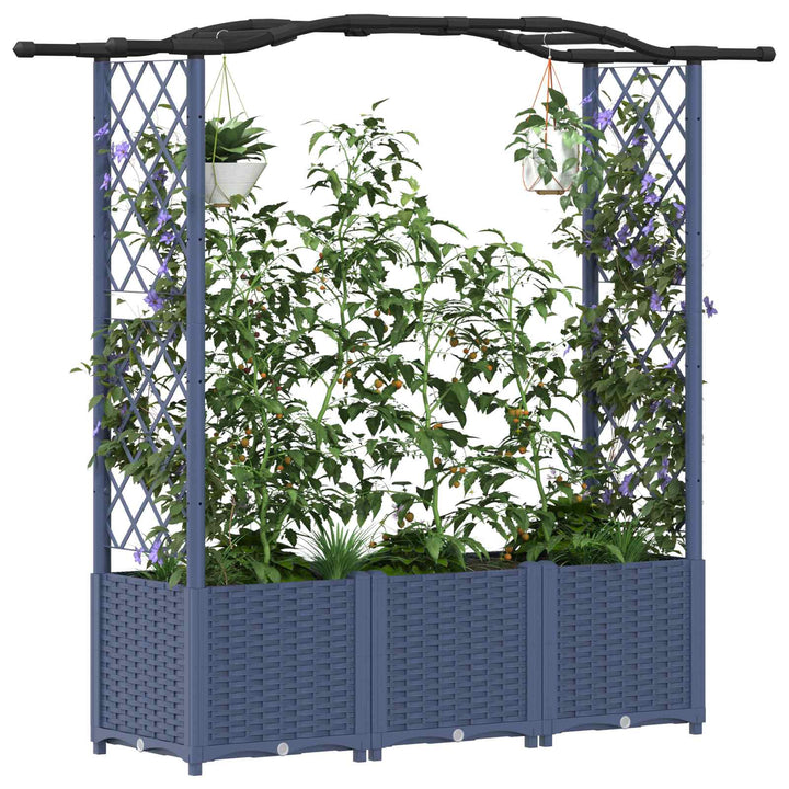 Hævet Bed med Trellis og Tag Grå 164 x 40 x 142 cm PP
