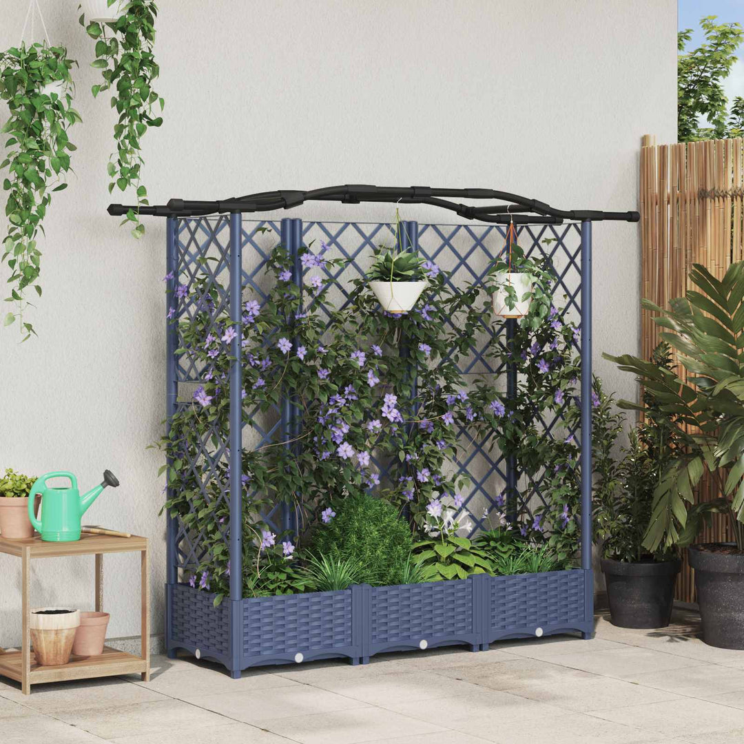 Hævet Bed med Trellis og Tag Grå 163 x 40 x 123 cm PP