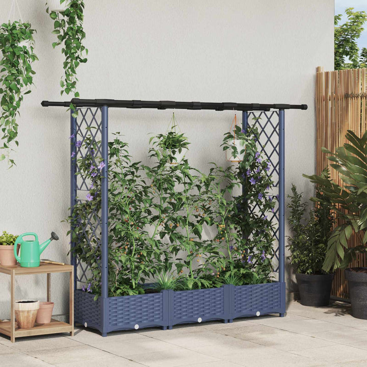 Hævet Bed med Trellis og Tag Grå 164 x 40 x 123 cm PP