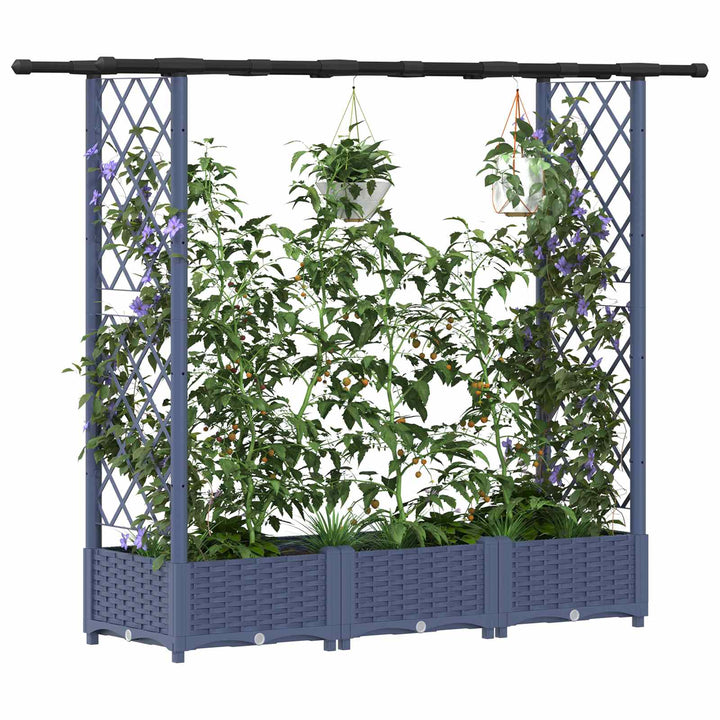 Hævet Bed med Trellis og Tag Grå 164 x 40 x 123 cm PP