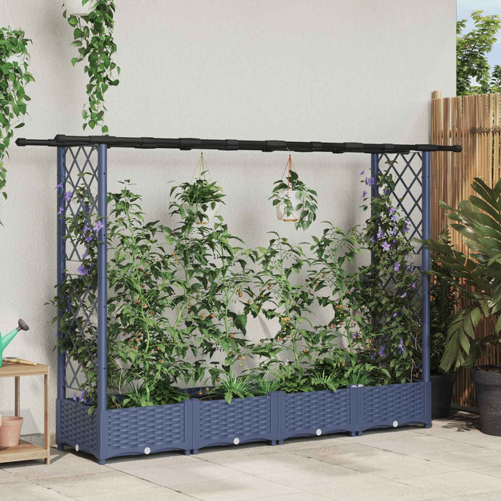 Hævet Bed med Trellis og Tag Grå 203 x 40 x 123 cm PP