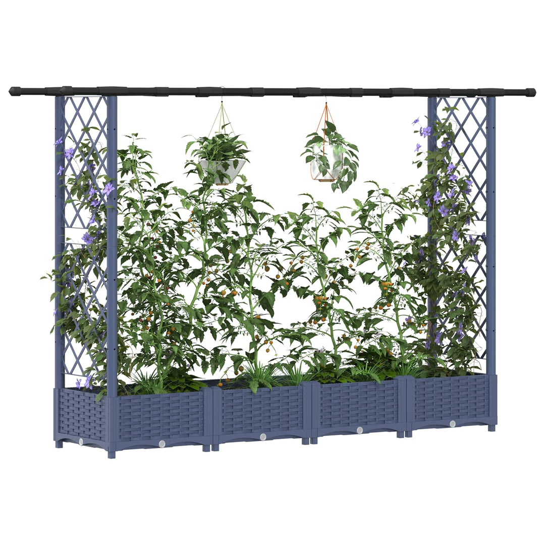 Hævet Bed med Trellis og Tag Grå 203 x 40 x 123 cm PP