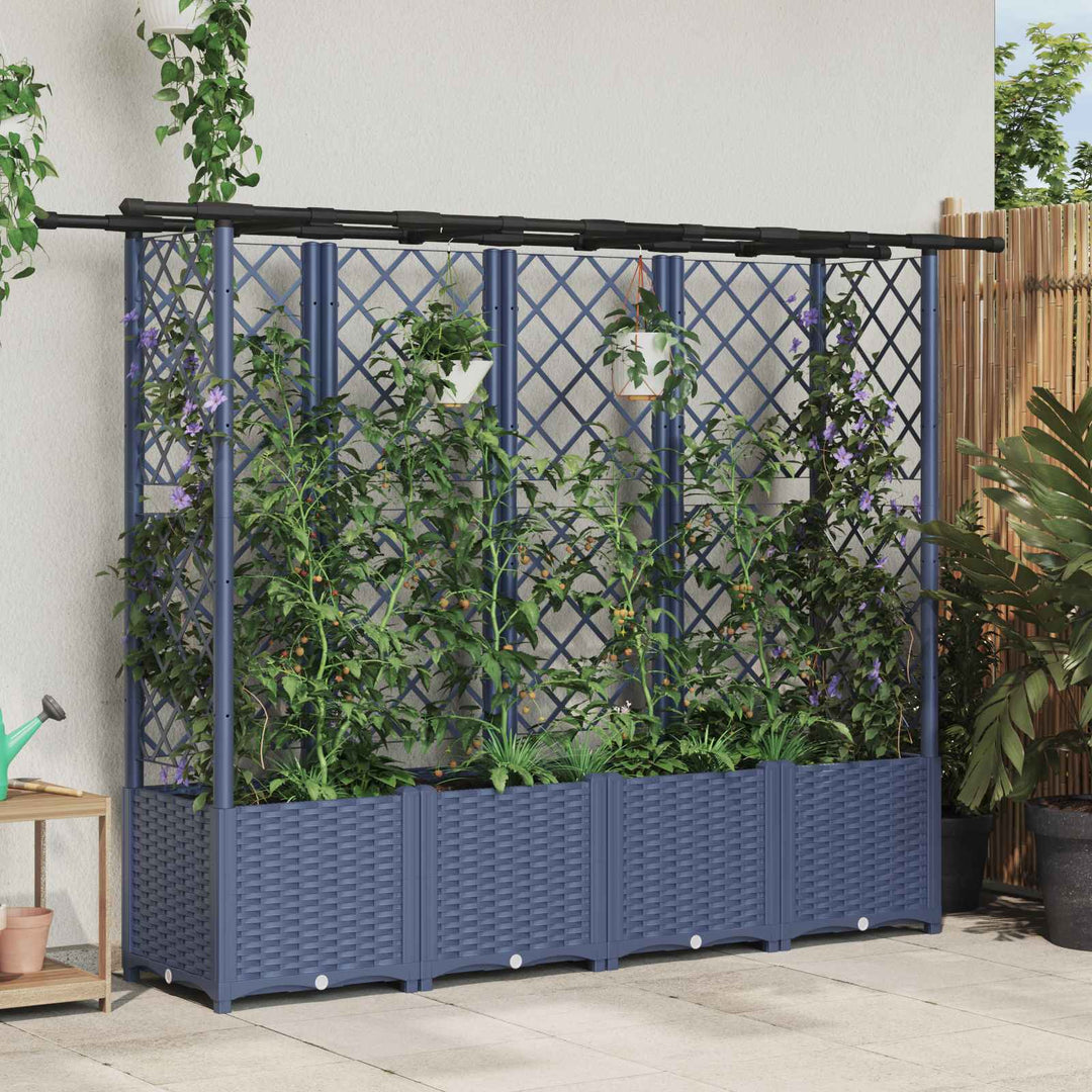 Hævet Bed med Trellis og Tag Grå 203 x 40 x 138 cm PP