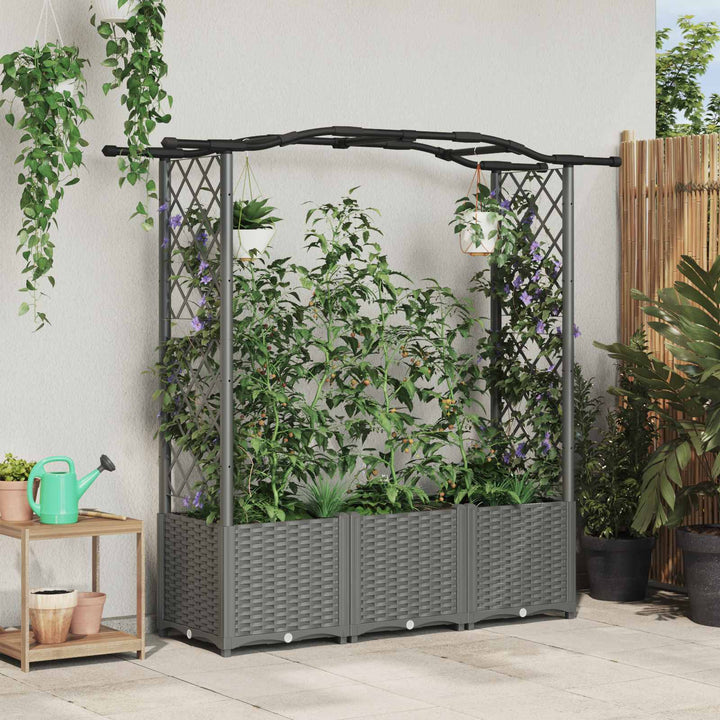 Hævet Bed med Trellis og Tag Lysegrå 164 x 40 x 142 cm PP