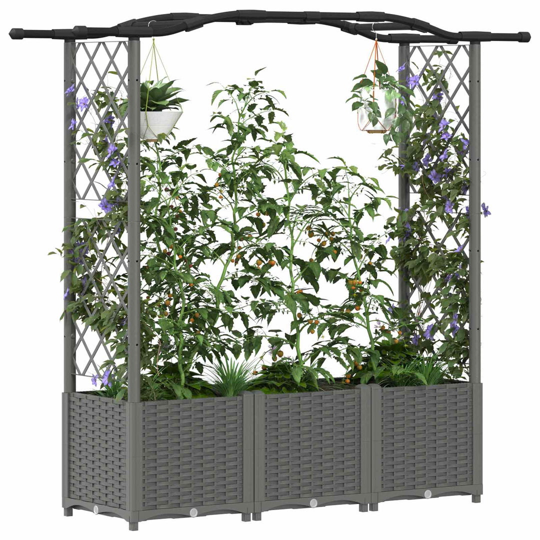 Hævet Bed med Trellis og Tag Lysegrå 164 x 40 x 142 cm PP