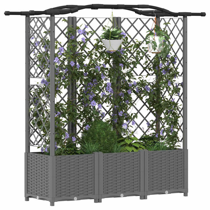 Hævet Bed med Trellis og Tag Lysegrå 163 x 40 x 138 cm PP