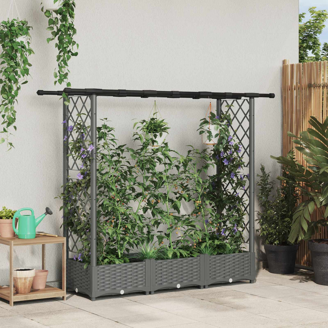 Hævet Bed med Trellis og Tag Lysegrå 164 x 40 x 123 cm PP
