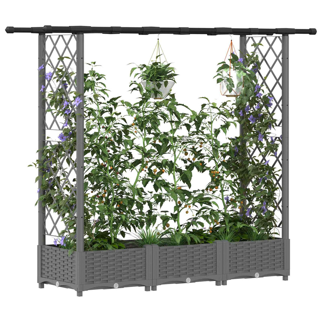 Hævet Bed med Trellis og Tag Lysegrå 164 x 40 x 123 cm PP