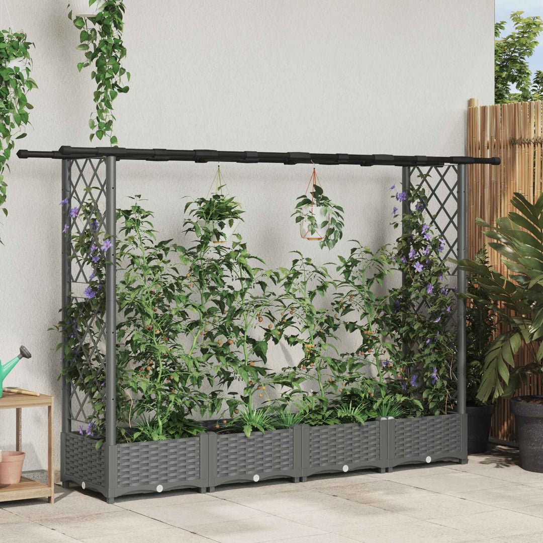 Hævet Bed med Trellis og Tag Lysegrå 203 x 40 x 121 cm PP