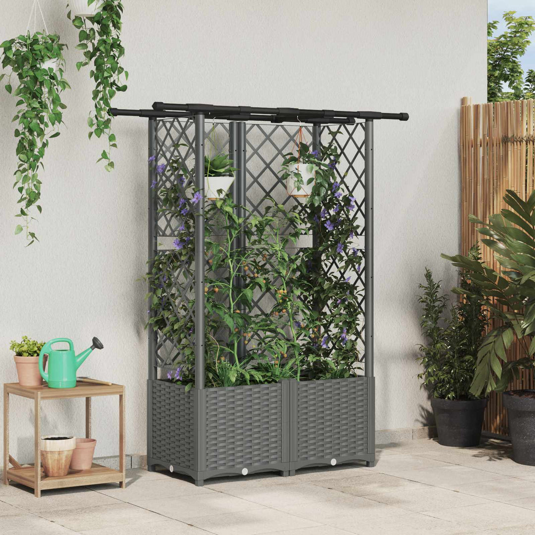 Hævet Bed med Trellis og Tag Lysegrå 124,5 x 40 x 138 cm PP