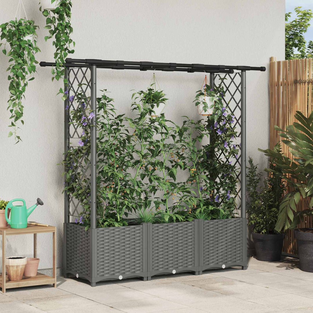Hævet Bed med Trellis og Tag Lysegrå 162,5 x 40 x 136 cm PP