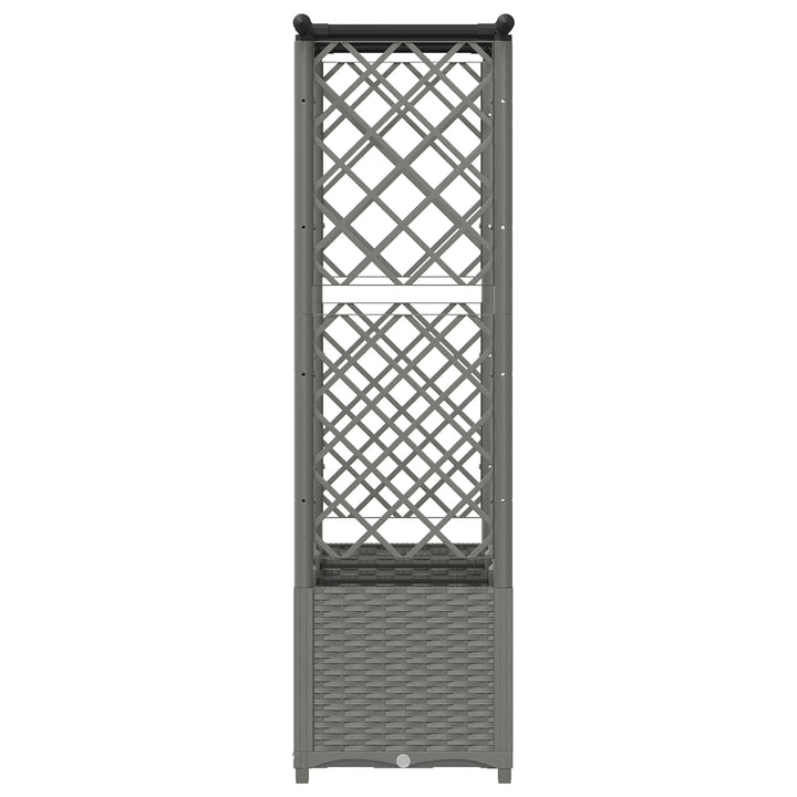 Hævet Bed med Trellis og Tag Lysegrå 162,5 x 40 x 136 cm PP
