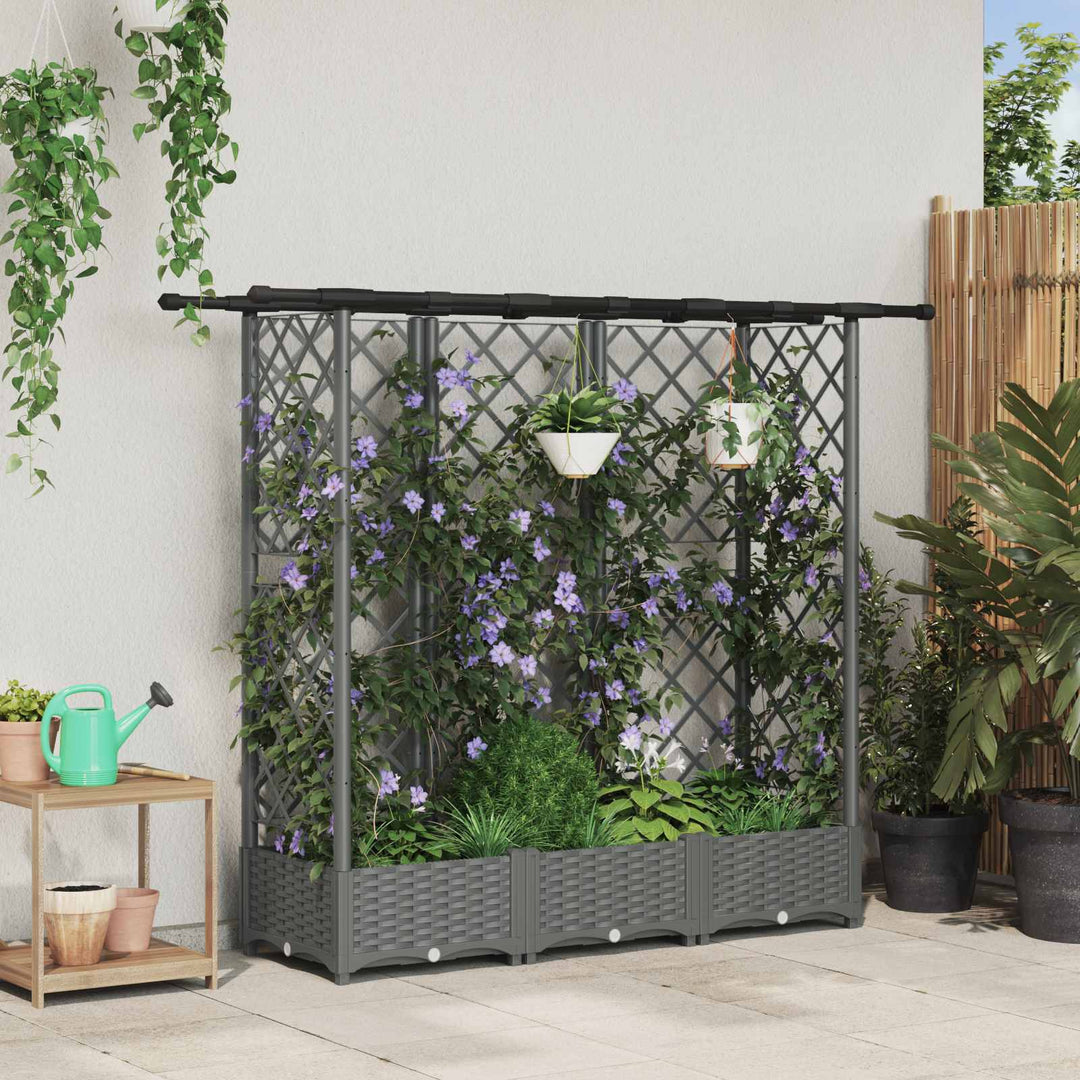 Hævet Bed med Trellis og Tag Lysegrå 164 x 40 x 121 cm PP