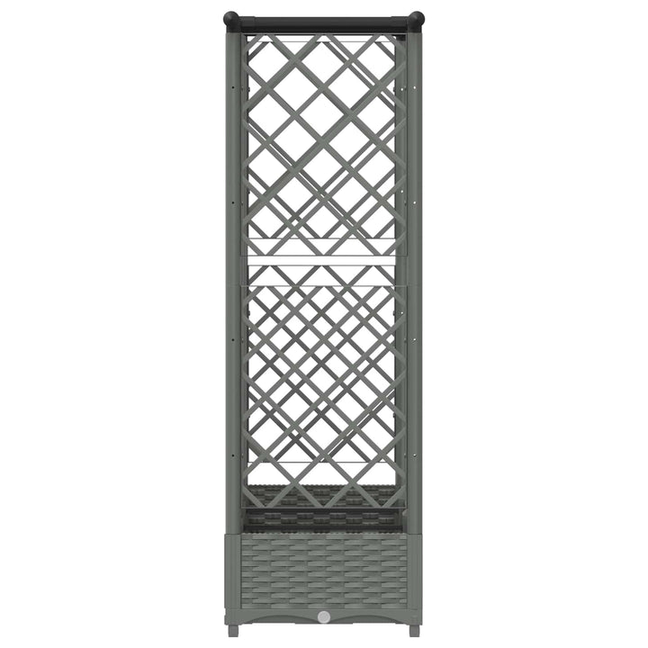 Hævet Bed med Trellis og Tag Lysegrå 164 x 40 x 121 cm PP