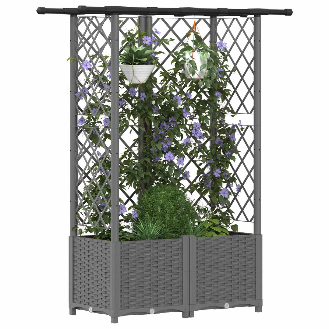 Hævet Bed med Trellis og Tag Lysegrå 124 x 40 x 136 cm PP
