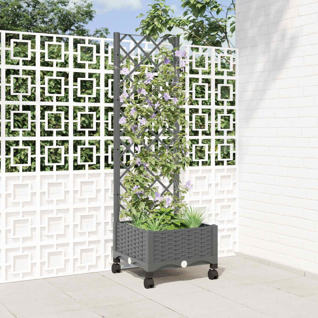Haveplantekasse med espalier og hjul Lysegrå 40 x 40 x 131,5 cm
