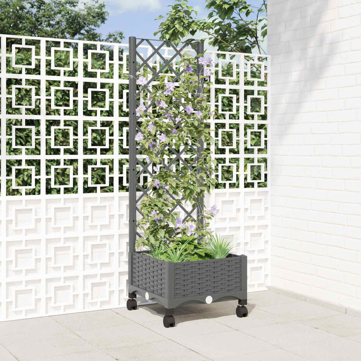 Haveplantekasse med espalier og hjul Lysegrå 40 x 40 x 131,5 cm