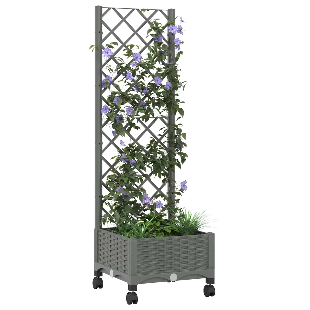 Haveplantekasse med espalier og hjul Lysegrå 40 x 40 x 131,5 cm