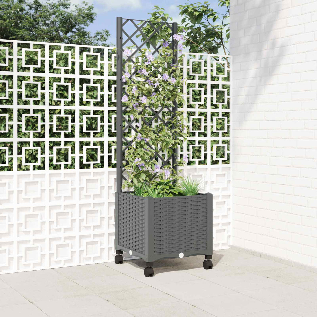 Haveplantekasse med espalier og hjul Lysegrå 40 x 40 x 146 cm