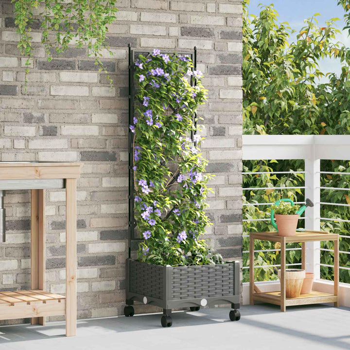 Haveplantekasse med espalier og hjul Lysegrå 40 x 40 x 131,5 cm