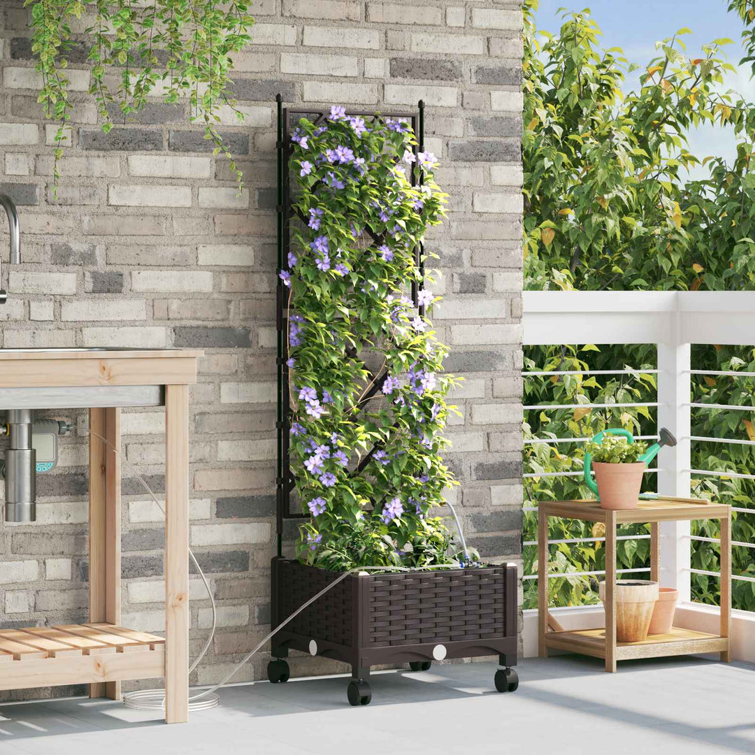Havekrukke med vanding og hjul Brun 40 x 40 x 132 cm PP