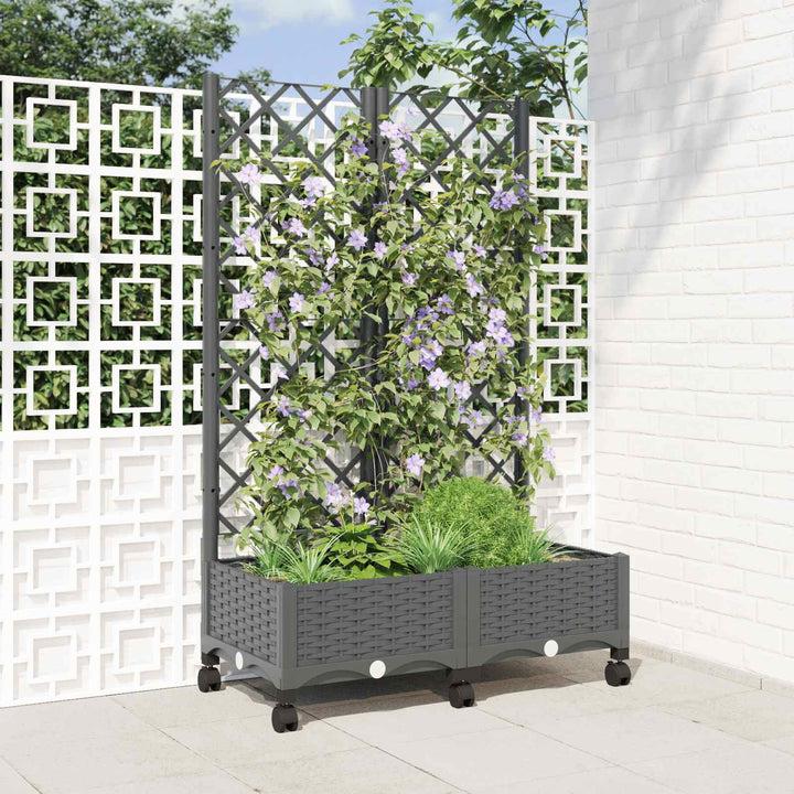 Haveplantekasse med espalier og hjul Lysegrå 80 x 40 x 131,5 cm