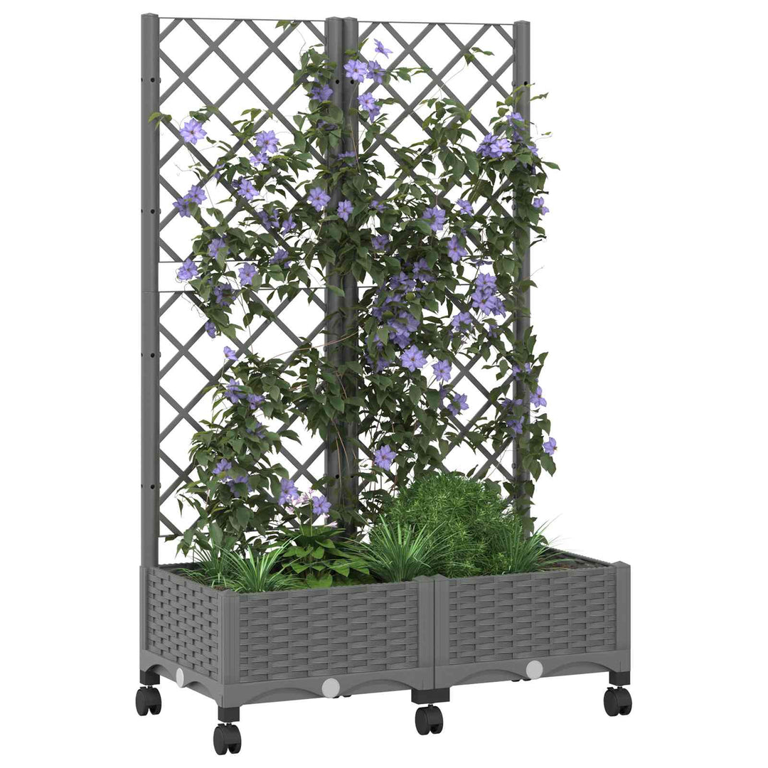 Haveplantekasse med espalier og hjul Lysegrå 80 x 40 x 131,5 cm