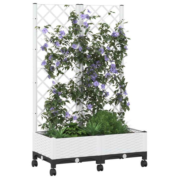 Haveplantekasse med espalier og hjul Hvid 80 x 40 x 131,5 cm PP