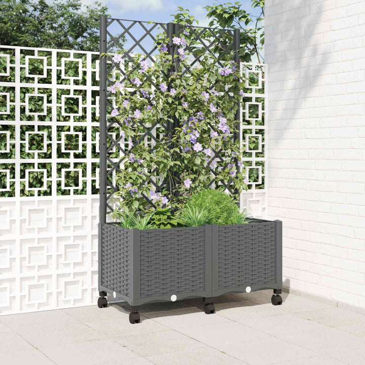 Haveplantekasse med espalier og hjul Lysegrå 80 x 40 x 146 cm