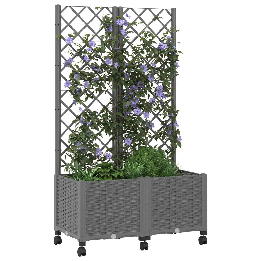 Haveplantekasse med espalier og hjul Lysegrå 80 x 40 x 146 cm
