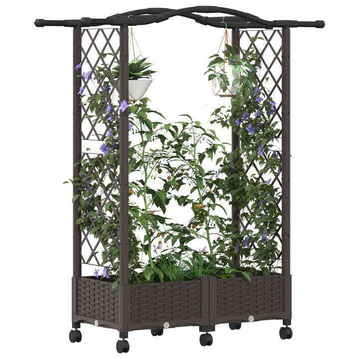 Hævet Bed med Trellis og Tag Brun 124 x 40 x 129 cm PP