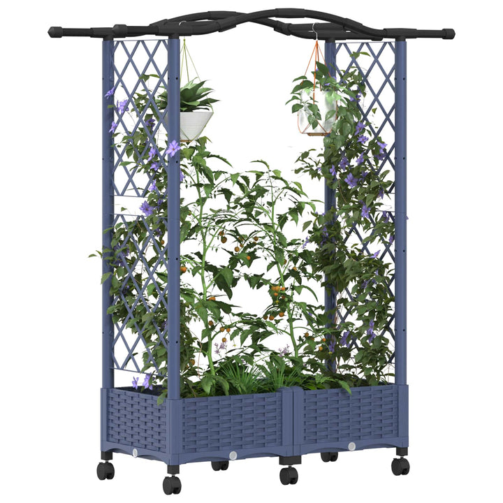 Hævet Bed med Trellis og Tag Grå 124 x 40 x 129 cm PP