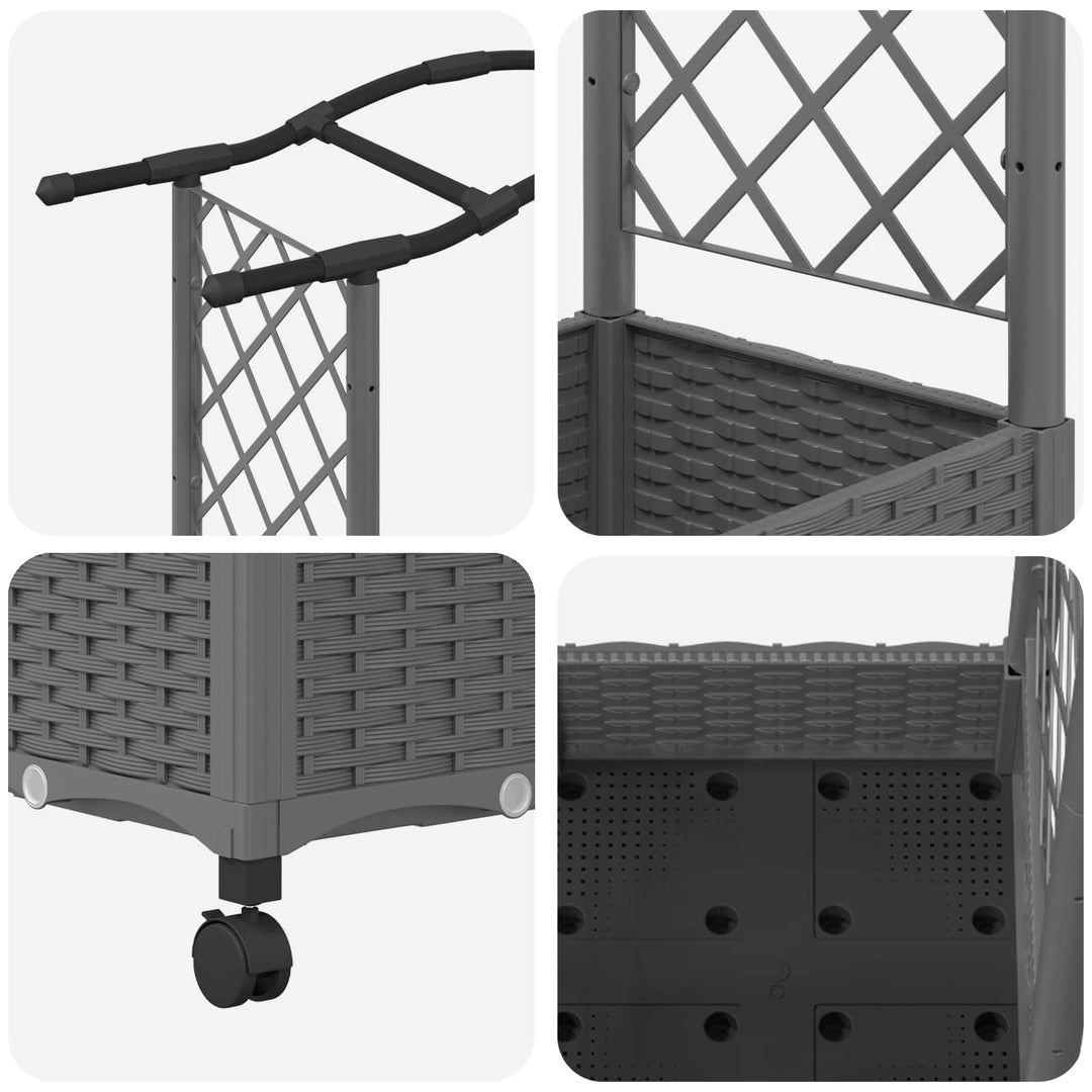 Hævet Bed med Trellis og Tag Lysegrå 124 x 40 x 129 cm PP