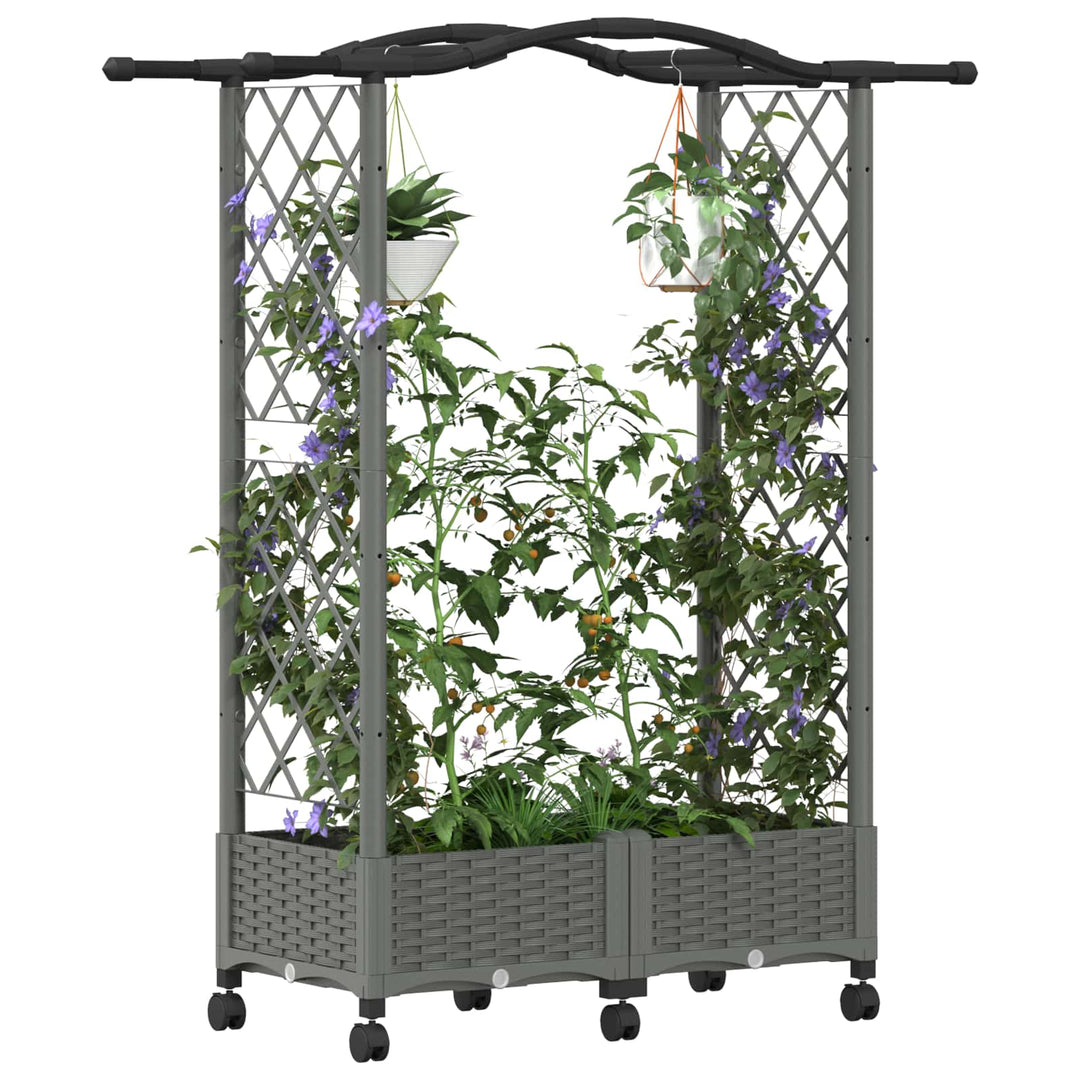Hævet Bed med Trellis og Tag Lysegrå 124 x 40 x 129 cm PP