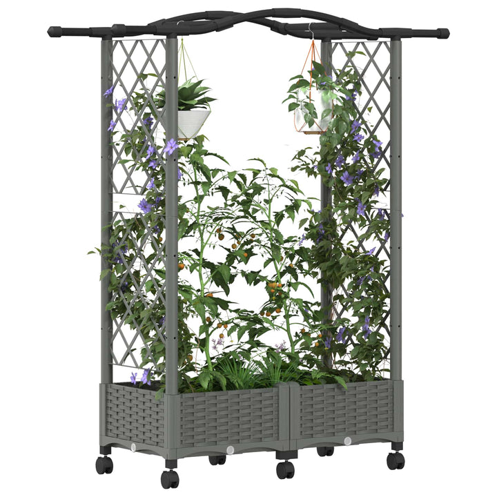 Hævet Bed med Trellis og Tag Lysegrå 124 x 40 x 129 cm PP