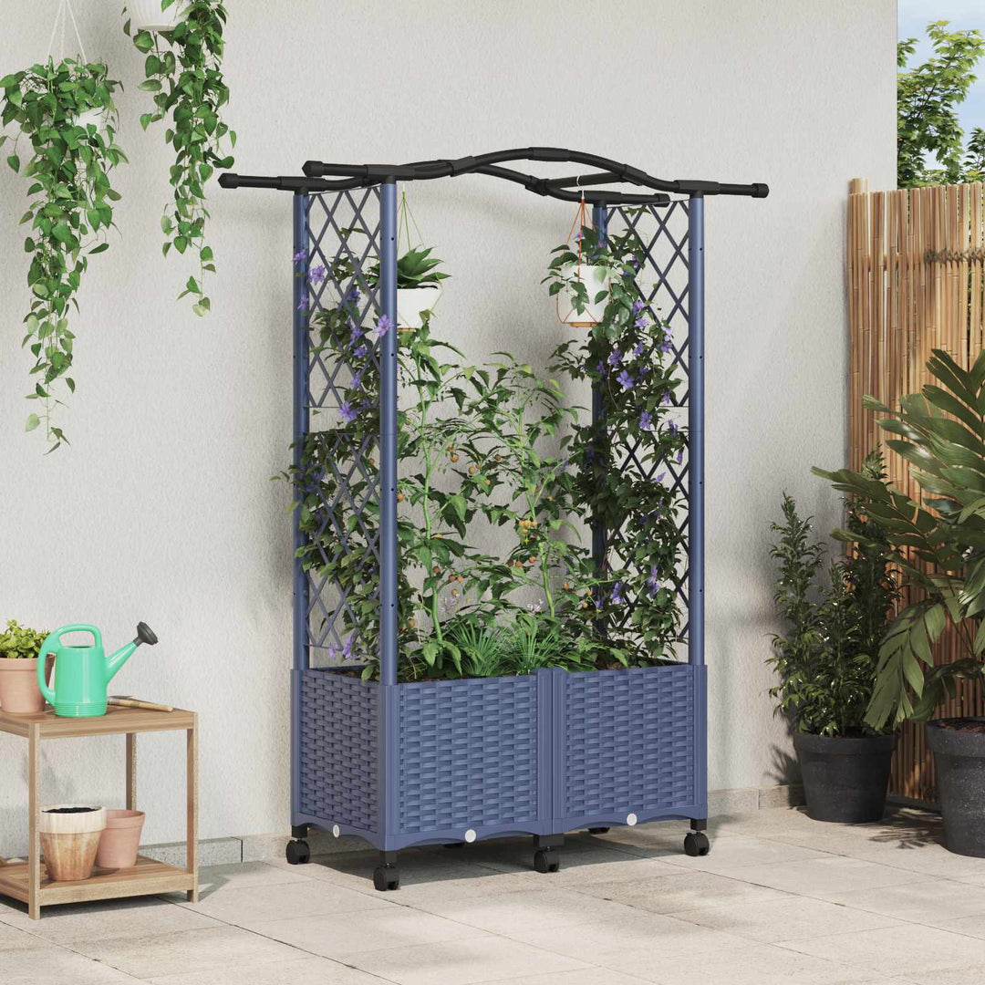 Hævet Bed med Trellis og Tag Grå 125 x 40 x 144 cm PP