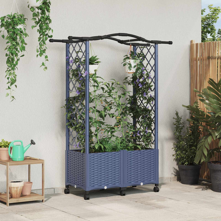 Hævet Bed med Trellis og Tag Grå 125 x 40 x 144 cm PP