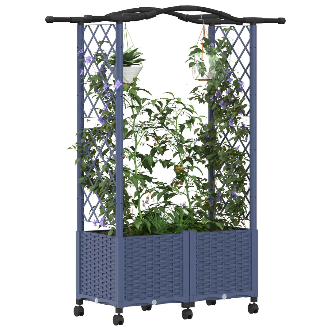 Hævet Bed med Trellis og Tag Grå 125 x 40 x 144 cm PP
