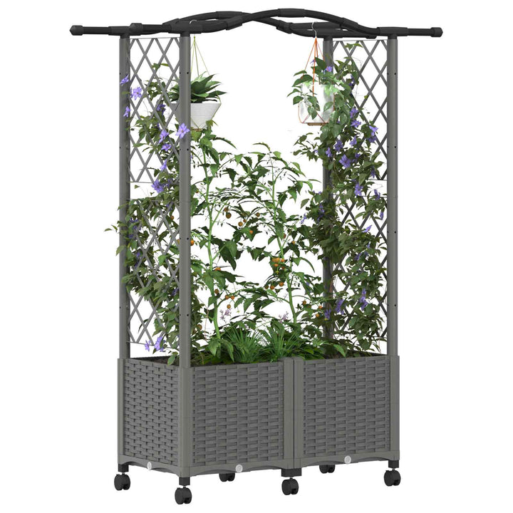 Hævet Bed med Trellis og Tag Lysegrå 125 x 40 x 144 cm PP