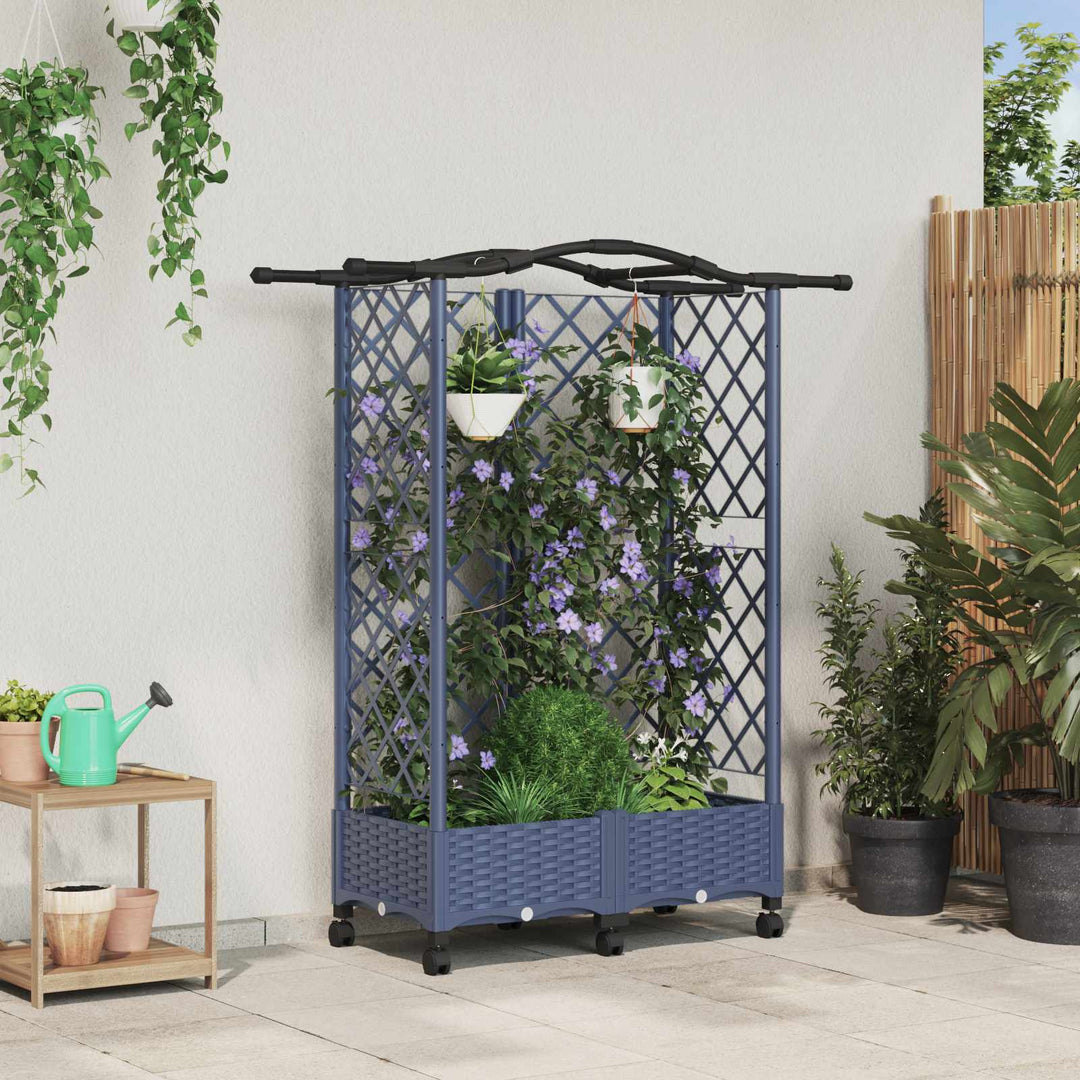 Hævet Bed med Trellis og Tag Grå 124 x 40 x 129 cm PP