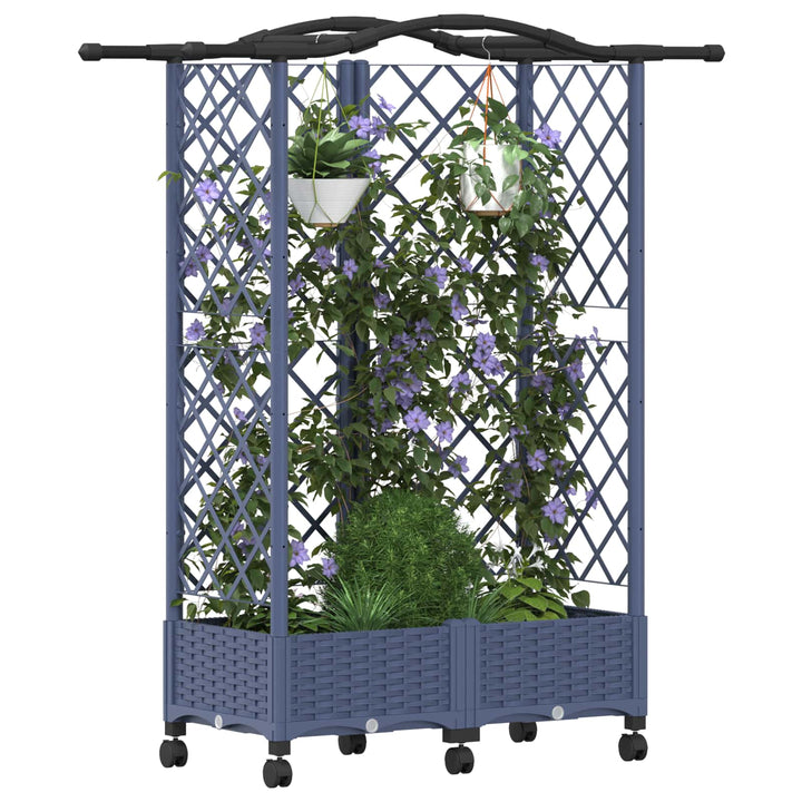 Hævet Bed med Trellis og Tag Grå 124 x 40 x 129 cm PP