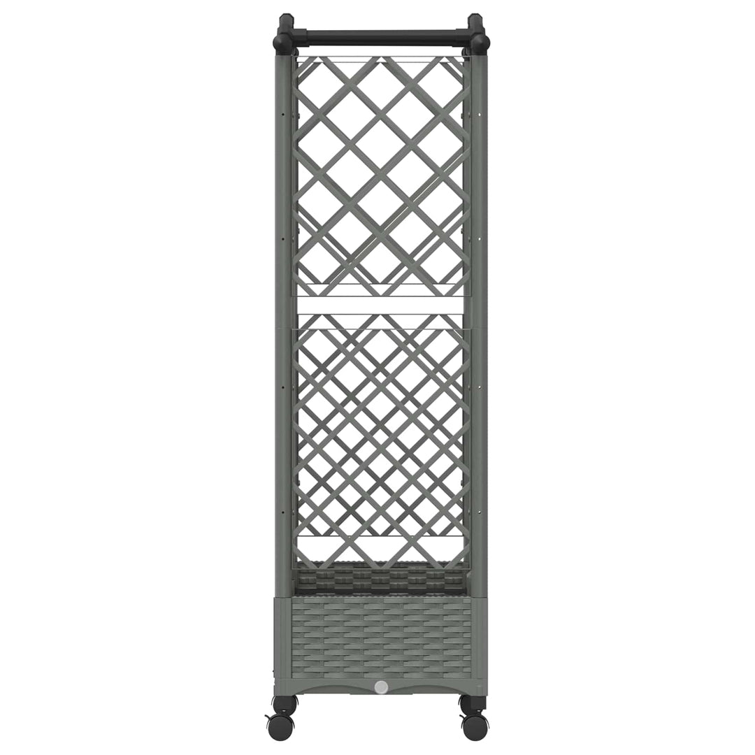 Hævet Bed med Trellis og Tag Lysegrå 124 x 40 x 129 cm PP